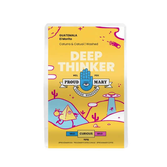Proud Mary Coffee - Deep Thinker 250g Coffee Beans